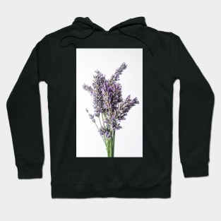 Lavender Flower on White Background Hoodie